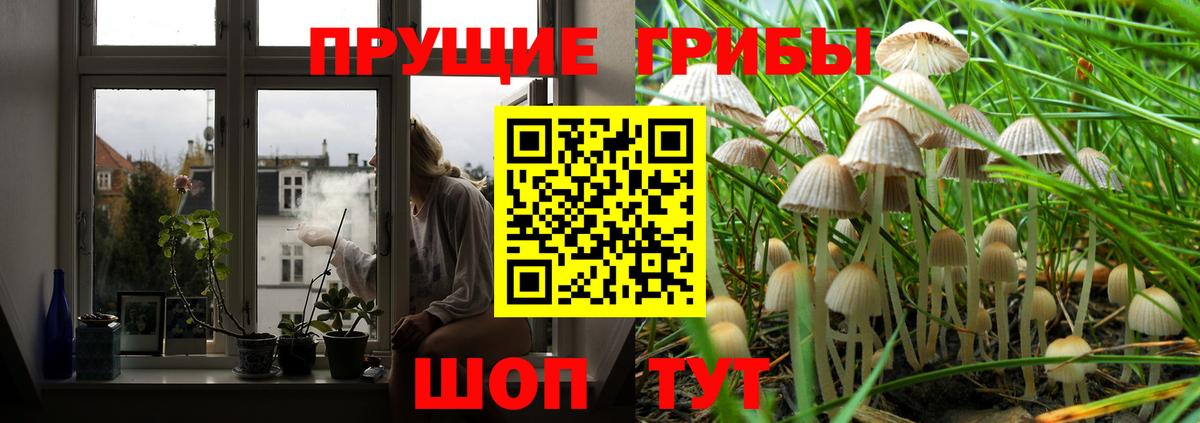 Галлюциногенные грибы Magic Shrooms  закладка  Чапаевск  Галлюциногенные грибы Cubensis  Вход с VPN 